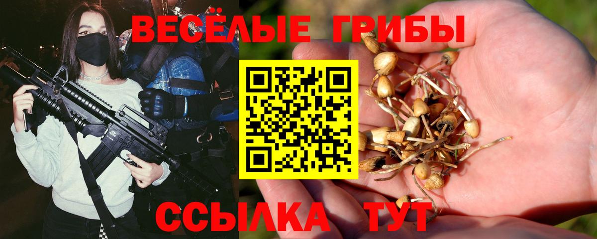 Иркутск  Галлюциногенные грибы Magic Shrooms  даркнет сайт  Вход с VPN 