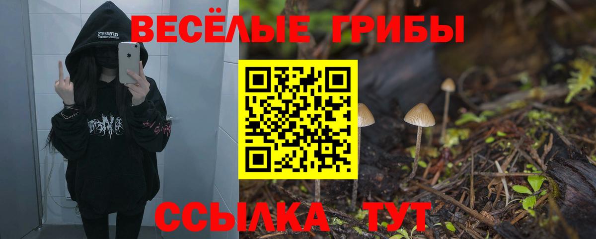Галлюциногенные грибы Magic Shrooms Иркутск
